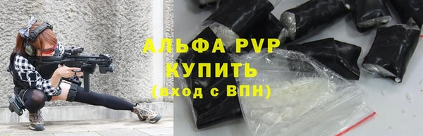 дмт Новодвинск