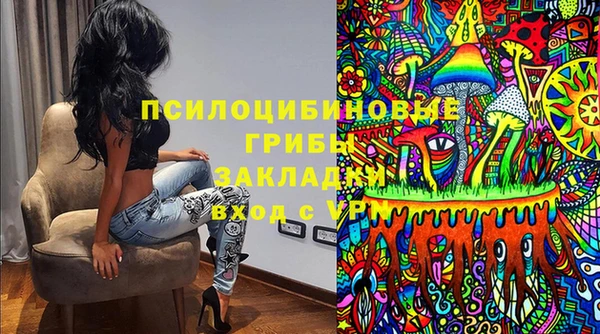 дмт Новодвинск