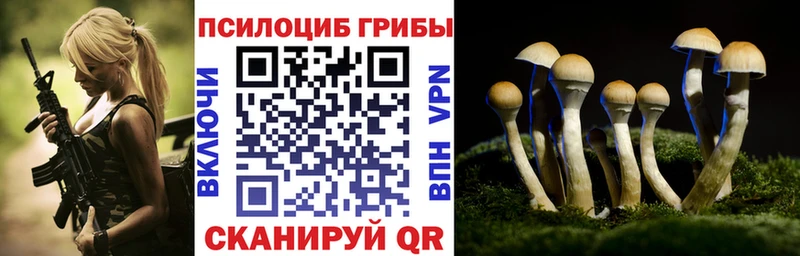 Галлюциногенные грибы Magic Shrooms Сясьстрой